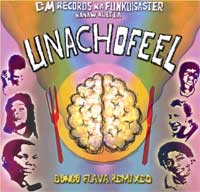 Funkdisaster - Unachofeel